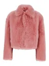 Bottega Veneta 'toscana' Pink Cropped Shearling Coat With Classic Collar And Front Concealed Closure