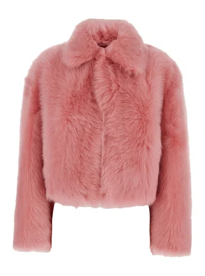 Bottega Veneta 'toscana' Pink Cropped Shearling Coat With Classic Collar And Front Concealed Closure