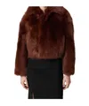 Bottega Veneta Toscana Shearling Cropped Blouson In Brown