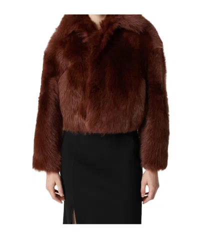 Bottega Veneta Toscana Shearling Cropped Blouson In Brown