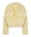 Bottega Veneta Toscana Shearling Cropped Blouson In Nude