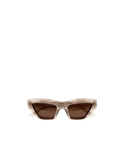 Bottega Veneta Transparent Cat-eye Frame Sunglasses In Multicolor