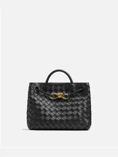 Bottega Veneta Women Black Andiamo Small Satchel