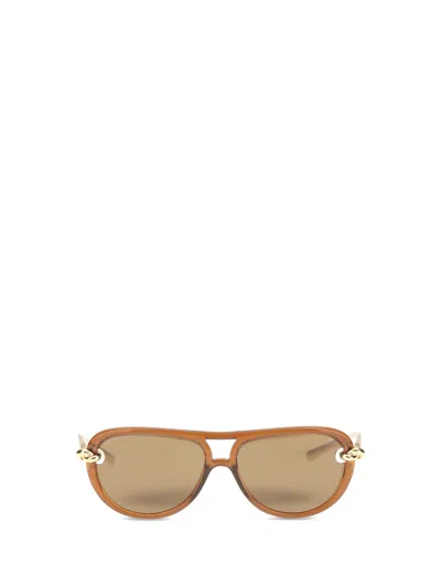 Bottega Veneta Women Knot Sunglasses In Brown