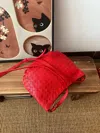Bottega Veneta Women Pre-loved Bag Very Good Condition In Red