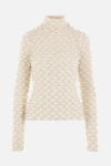 Bottega Veneta Wool Turtleneck Sweater