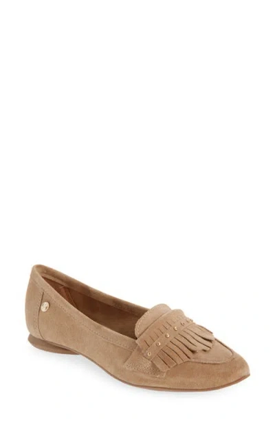 Bottero Botjoya Pointed Toe Flat In Brown