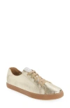 Bottero Botrunner Sneaker In Gold