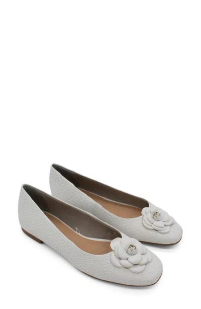 Bottero Botsamya Ballet Flat