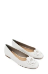 Bottero Botsamya Ballet Flat In Brown