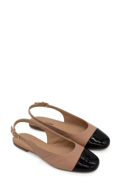 Bottero Botsamya Xxiv Slingback Flat