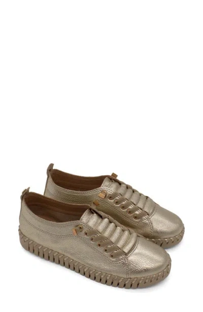 Bottero Bottwister Verao Xxiii Perforated Leather Sneaker