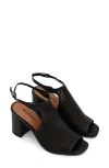 Bottero Botzahara Xxiv Slingback Sandal In Black