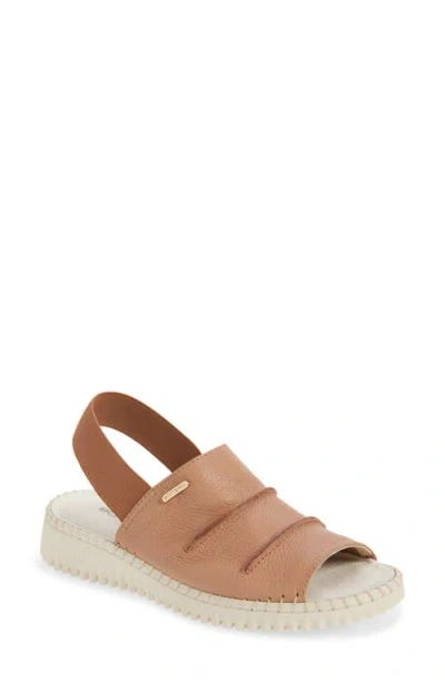 Bottero Construcao Botolga Slingback Sandal In Brown