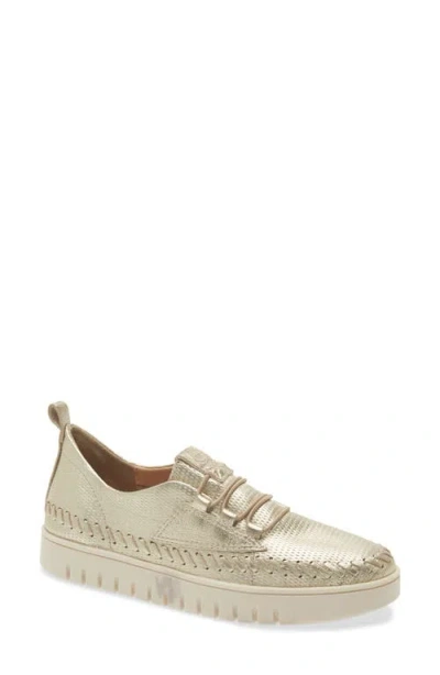 Bottero Elastic Lace Sneaker In Gold
