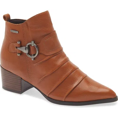 Bottero Pointed Toe Ankle Bootie In Brown