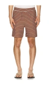 Bound Stripe Jacquard Shorts In Brown