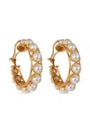 Bounkit Jewelry 14k Yellow Gold Akoya Pearl Hoop Earrings In Brown