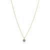 Bowood Lane Melania Necklace In Gold