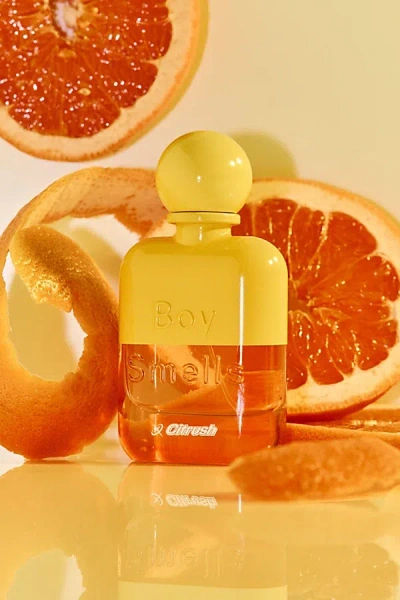 Boy Smells Eau De Parfum Fragrance In Citrush At Urban Outfitters