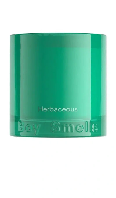 Boy Smells Herbaceous Scented Candle