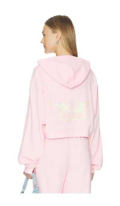 Boys Lie All Star Alex Zip Up In Pink