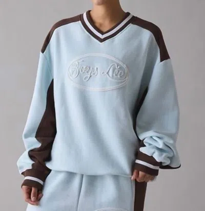 Boys Lie Lasso'd Up Hayley V-neck Sweater In Light Blue, Brown