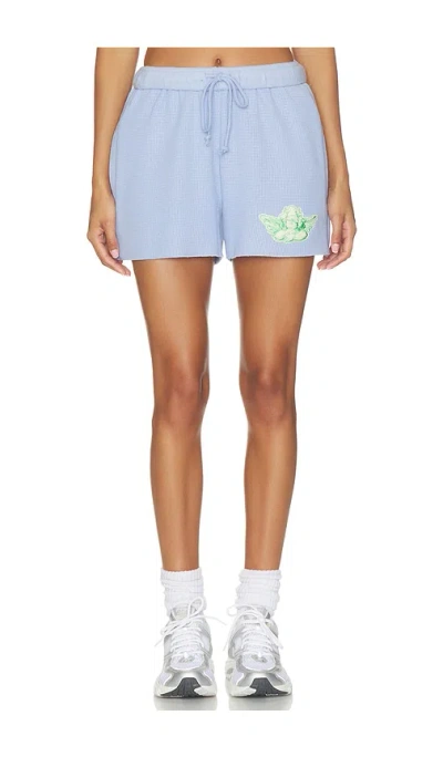 Boys Lie Razzle Dazzle V4 Waffle Knit Shorts In Blue