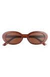 Bp. 50mm Round Sunglasses In Tortoise