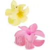Bp. Assorted 2-pack Plumeria Claw Clips In Multi