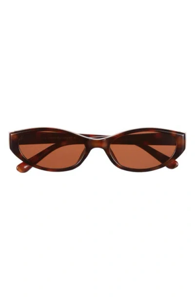 Bp. Cat Eye Sunglasses In Brown