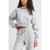 Bp. Crop Hoodie