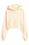 Bp. Crop Hoodie In Ivory Gleam