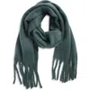Bp. Fringe Blanket Scarf In Green