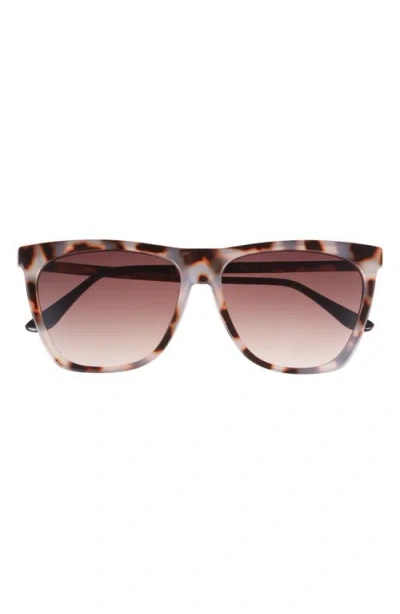 Bp. Oversize Cateye Sunglasses In Multi