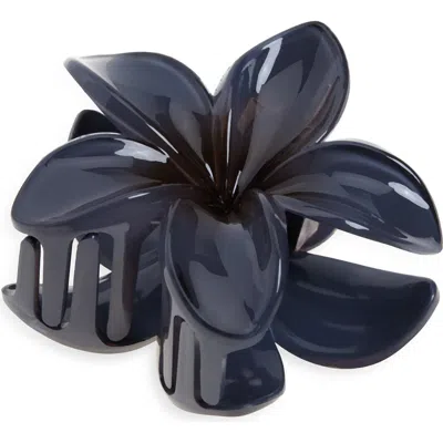 Bp. Pulmeria Claw Clip In Blue