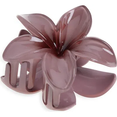 Bp. Pulmeria Claw Clip In Purple