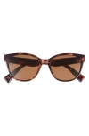 Bp. Square Sunglasses In Tortoise