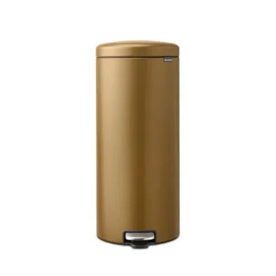 Brabantia Newicon Step On Trash Can, 8 Gallon (30 Liter) In Brushed Brass