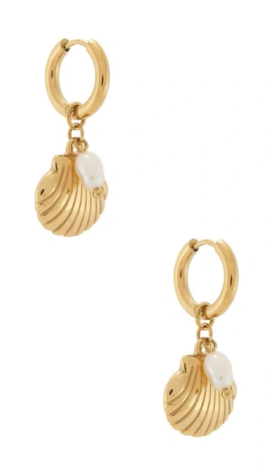 Bracha Cove Earrings In Gold & Shell