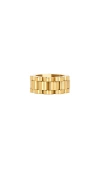 Bracha Rolly Ring In 金色