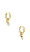 Bracha Sage Hoop Earrings In Multi