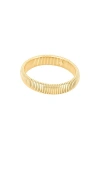 Bracha She's Timeless Bracelet In Gold