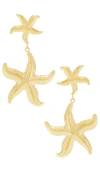 Bracha Ohrringe In Metallic Gold