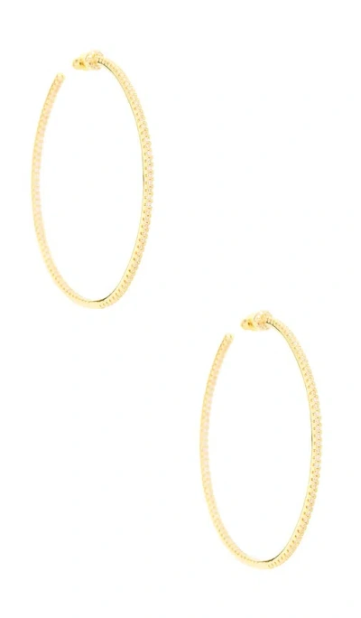 Bracha Wildside Hoops In Gold