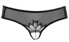 Bracli Women's Black Kyoto Brief In Black
