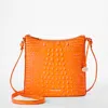 Brahmin 