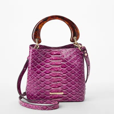 Brahmin 