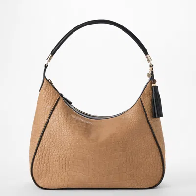 Brahmin 
