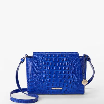 Brahmin 